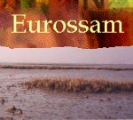 click to visit the EUROSSAM homepage